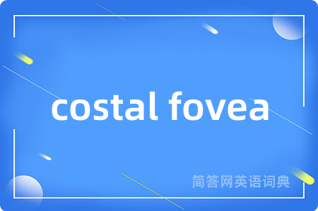 costal fovea是什么意思,costal fovea的中文翻译 costal fovea