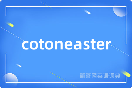 cotoneaster