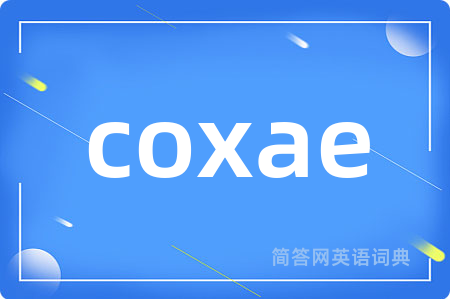 coxae是什么意思,coxae的中文翻译 coxae