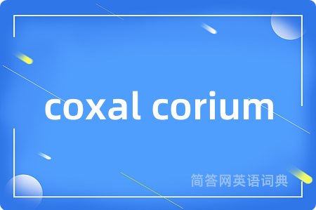 coxal corium