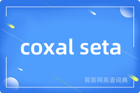 coxal seta