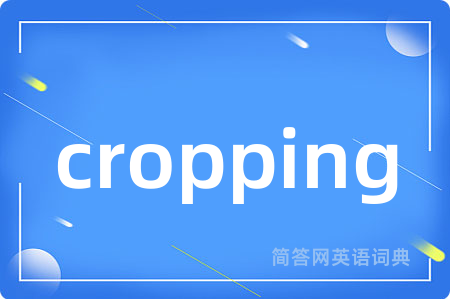 cropping是什么意思,cropping的中文翻译 cropping