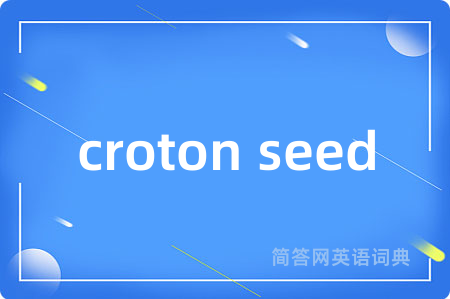 croton seed是什么意思,croton seed的中文翻译 croton seed