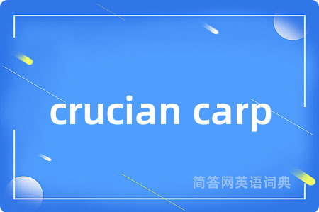 crucian carp