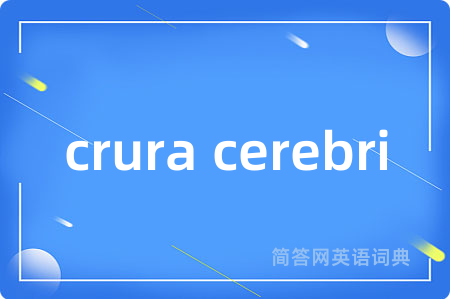 crura cerebri是什么意思,crura cerebri的中文翻译 crura cerebri