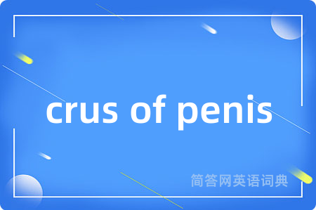 crus of penis