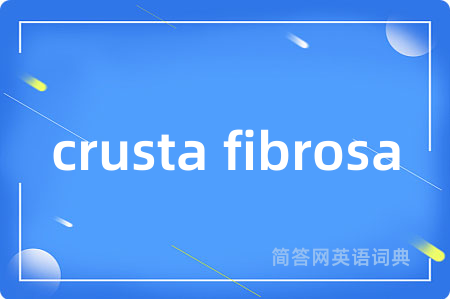 crusta fibrosa是什么意思,crusta fibrosa的中文翻译 crusta fibrosa