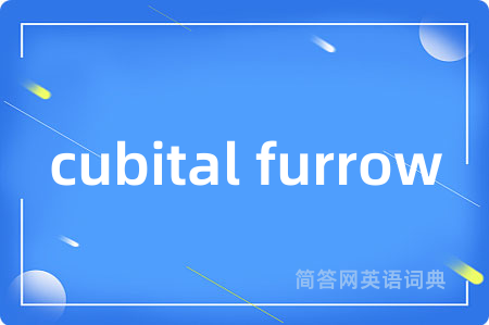 cubital furrow