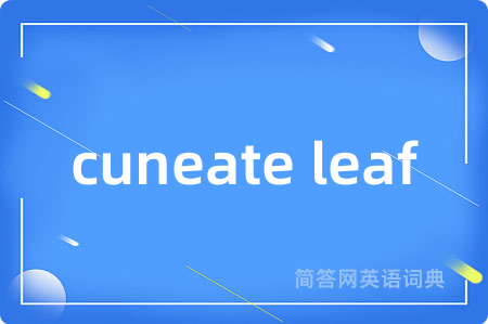 cuneate leaf