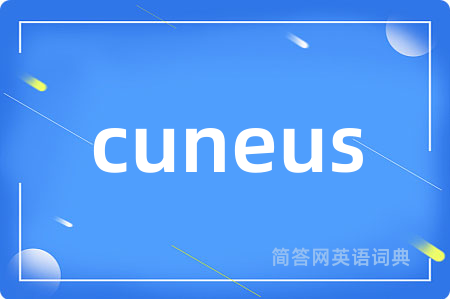 cuneus