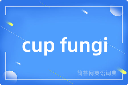 cup fungi