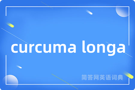 curcuma longa