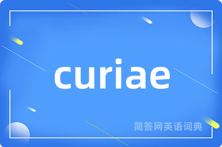 curiae是什么意思,curiae的中文翻译 curiae