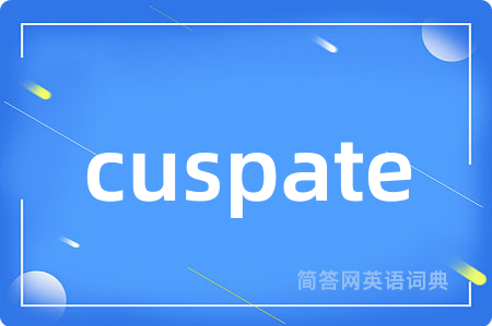 cuspate