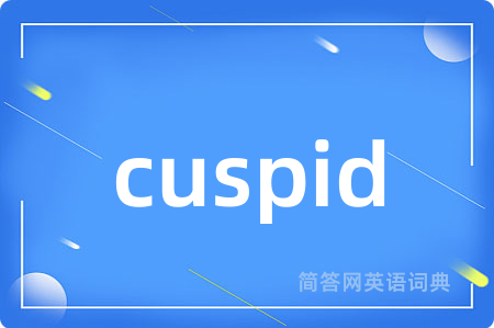 cuspid是什么意思,cuspid的中文翻译 cuspid