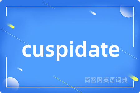 cuspidate是什么意思,cuspidate的中文翻译 cuspidate