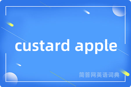 custard apple是什么意思,custard apple的中文翻译 custard apple