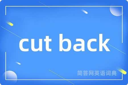 cut back是什么意思,cut back的中文翻译 cut back