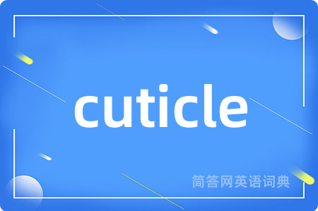 cuticle是什么意思,cuticle的中文翻译 cuticle