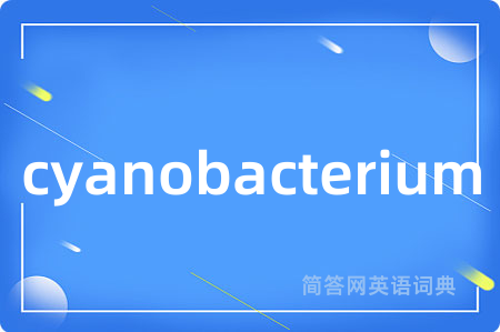 cyanobacterium是什么意思,cyanobacterium的中文翻译 cyanobacterium