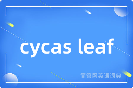 cycas leaf