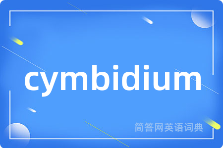 cymbidium