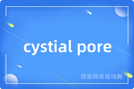cystial pore是什么意思,cystial pore的中文翻译 cystial pore