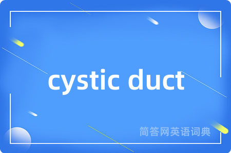 cystic duct是什么意思,cystic duct的中文翻译 cystic duct