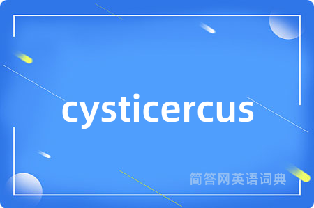 cysticercus