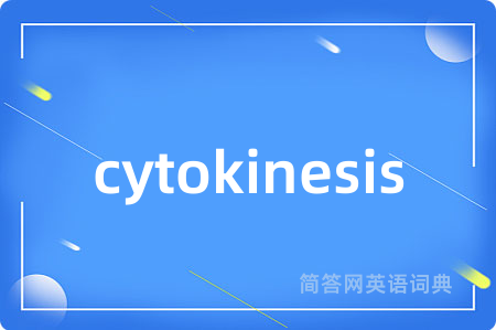 cytokinesis