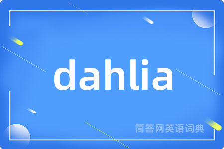 dahlia