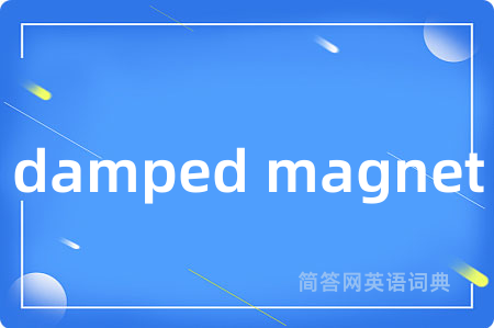 damped magnet