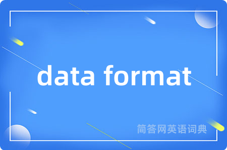 data format是什么意思,data format的中文翻译 data format