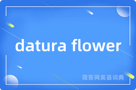 datura flower是什么意思,datura flower的中文翻译 datura flower