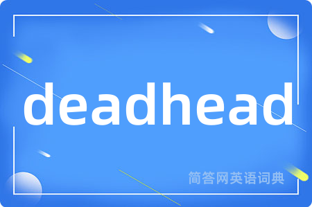 deadhead是什么意思,deadhead的中文翻译 deadhead