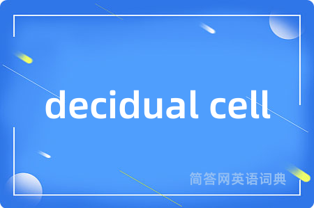 decidual cell