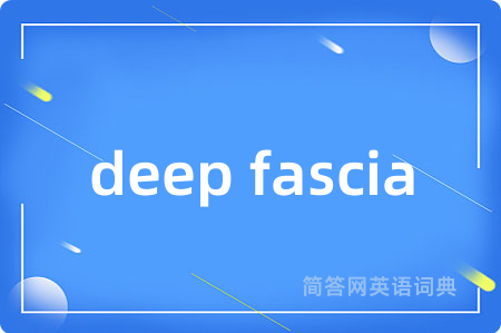 deep fascia
