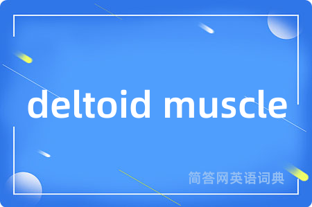 deltoid muscle是什么意思,deltoid muscle的中文翻译 deltoid muscle