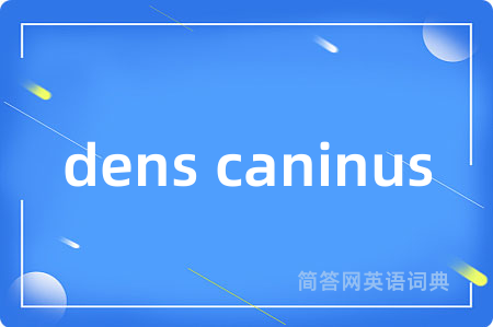 dens caninus