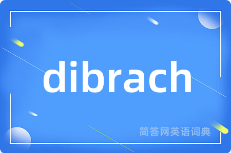 dibrach是什么意思,dibrach的中文翻译 dibrach