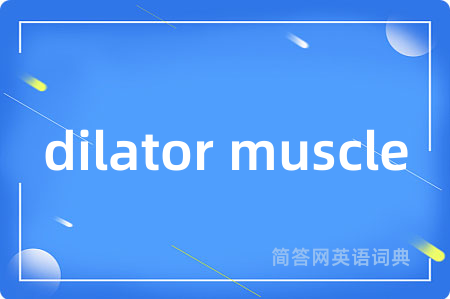 dilator muscle
