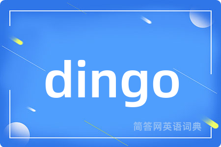 dingo