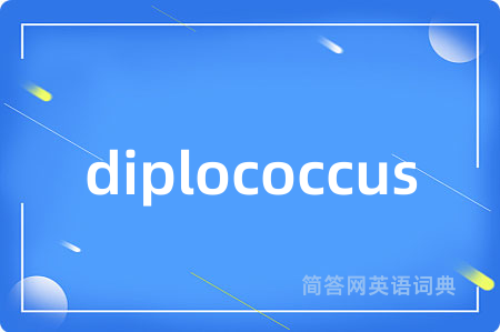 diplococcus是什么意思,diplococcus的中文翻译 diplococcus