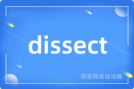 dissect是什么意思,dissect的中文翻译 dissect