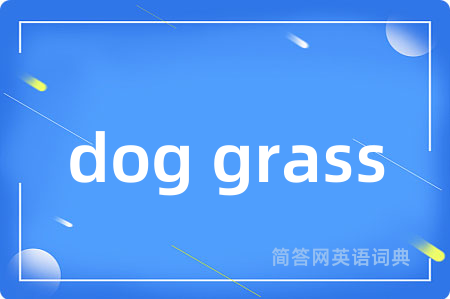 dog grass