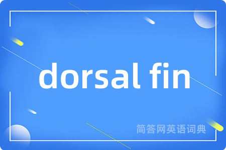 dorsal fin是什么意思,dorsal fin的中文翻译 dorsal fin