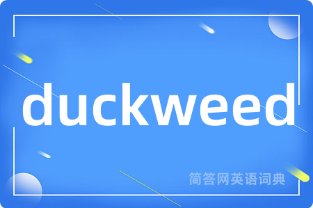 duckweed