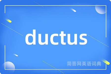 ductus是什么意思,ductus的中文翻译 ductus
