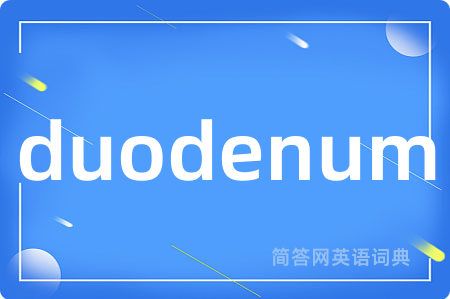 duodenum