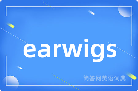 earwigs